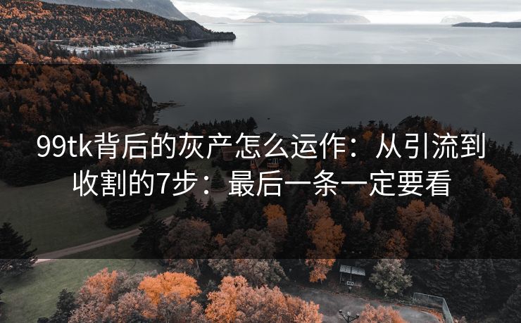 99tk背后的灰产怎么运作：从引流到收割的7步：最后一条一定要看