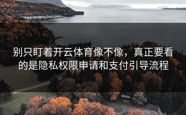 别只盯着开云体育像不像，真正要看的是隐私权限申请和支付引导流程