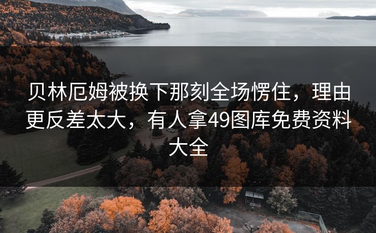 贝林厄姆被换下那刻全场愣住，理由更反差太大，有人拿49图库免费资料大全